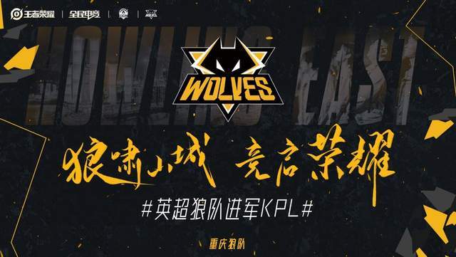 限定皮肤